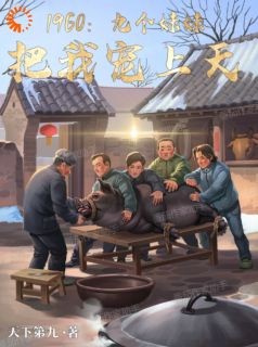 抖音小说1960:九个妹妹把我宠上天主角辰楠柳如意全文小说免费阅读