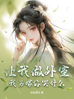让我做外室?我另嫁你哭什么全本小说(让我做外室?我另嫁你哭什么)全文阅读