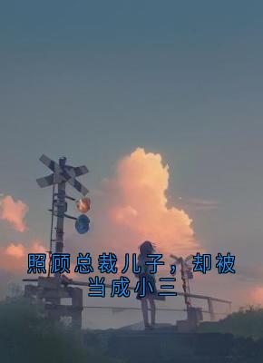 照顾总裁儿子,却被当成小三小说的书名是什么