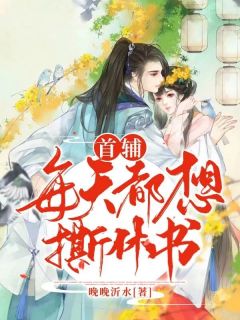 首辅每天都想撕休书纪挽朝陆聿怀大结局在线阅读