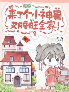 沪上来了个小神兽，叉腰旺全家！阎念安沈静仪-小说未删减阅读