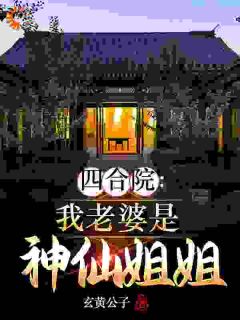 值得熬夜看完的四合院:我老婆是神仙姐姐小说阅读