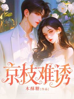 爆款热文温阮裴彻在线阅读-京枝难诱全章节列表