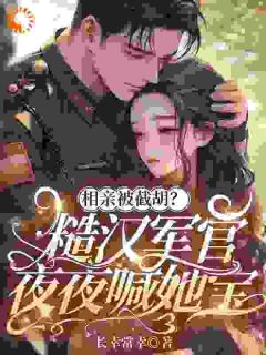 独家相亲被截胡?糙汉军官夜夜喊她宝小说-主角苏阮顾振国全文免费阅读