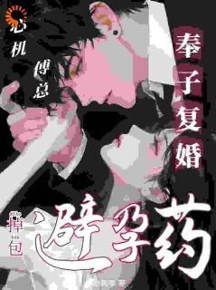 翟静傅晟伦主角小说掉包避孕药，心机傅总要奉子复婚抖音文免费阅读全文