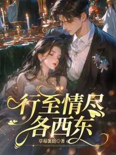 全网首发完整小说行至情尽各西东主角苏念傅宴辞在线阅读-欧迈阅读网