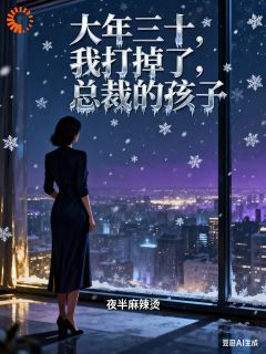 林晚星陆行舟完整版大年三十,我打掉了总裁的孩子全文最新阅读