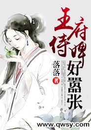 王府侍婢好嚣张小说的书名是什么