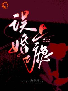 误婚上瘾小说(连载文)-许京桃贺宴宁无广告阅读