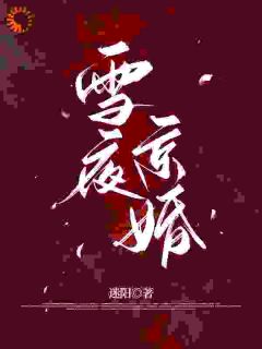 苏黎周斯辰是哪部小说的主角 雪夜京婚全文无弹窗