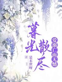 暮光散尽,爱溺亡而无憾小说(连载文)-南巡时宋安无广告阅读