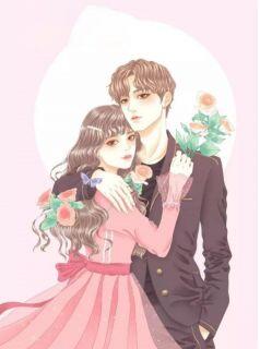 无弹窗小说终于我们分头走 作者米饭