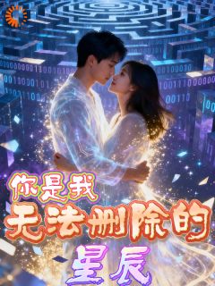 新上你是我无法删除的星辰远城的西比尔小说免费阅读