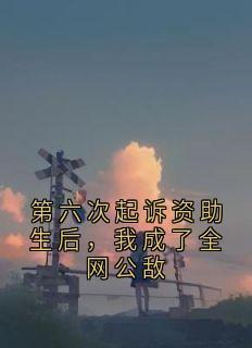 第六次起诉资助生后，我成了全网公敌免费小说作者钢甲猴全文阅读