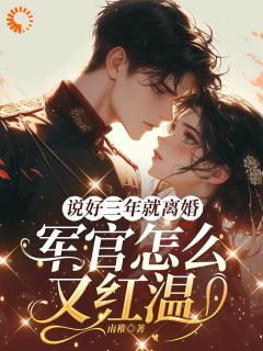 精选好书说好三年就离婚，军官怎么又红温无删减版全文在线