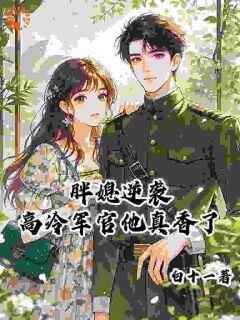 老书虫看了N遍的胖媳逆袭，高冷军官他真香了最新章节