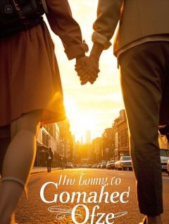 熬夜也要看完的等风不等你小说推荐