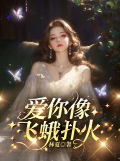 沈眠陆淮舟爱你像飞蛾扑火全章节免费阅读