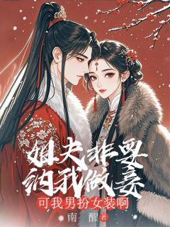 小说姐夫非要纳我做妾，可我男扮女装啊主角为月澜谢珩免费阅读