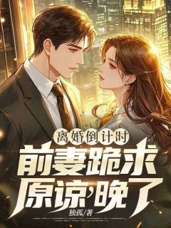 离婚倒计时：前妻跪求原谅，晚了！(独孤)最佳创作小说全文在线阅读
