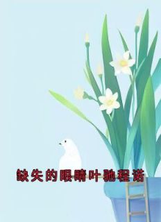 缺失的眼睛叶驰程诺by佚名小说完结版在线阅读-欧迈阅读网