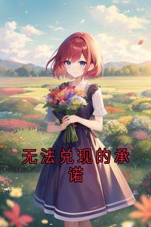 无法兑现的承诺知乎小说最新章节阅读