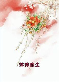 萍萍陈生大结局阅读 萍萍陈生小说在线章节